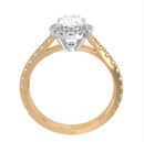 Halo Styles Diamond Engagement Ring Mounting