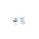 18ct WG Diamond Studs