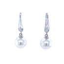 9ct White Gold Australian South Sea Pearl Earrings