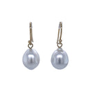 18ct Yellow Gold Australian south sea Pearl Earrings