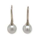 SOLD - 9ct Yellow Gold Australian South Sea Pearl Earrings