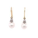 18ct Yellow and White Gold Australian South Sea Pearl Earrings.