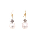18ct Yellow and White Gold Australian South Sea Pearl Earrings.