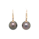 9ct Yellow Gold Tahitian Pearl Earrings.