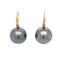 9ct Yellow Gold Tahitian Pearl Earrings