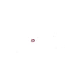 (Sold) Australian Argyle Loose Pink Diamond