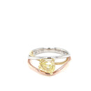 Platinum & 18ct YG & WG Ring