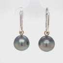 9ct Yellow Gold Tahitian Pearl with 9ct White Gold Huggie Earrings