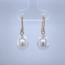 18ct Yellow Gold Australian south sea Pearl Earrings