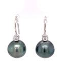 18ct White Gold Tahitian Pearl Earrings