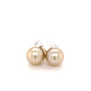 18ct Yellow Gold Australian South Sea Pearl Stud Earrings