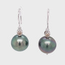 18CT White Gold Tahitian Pearl Earrings